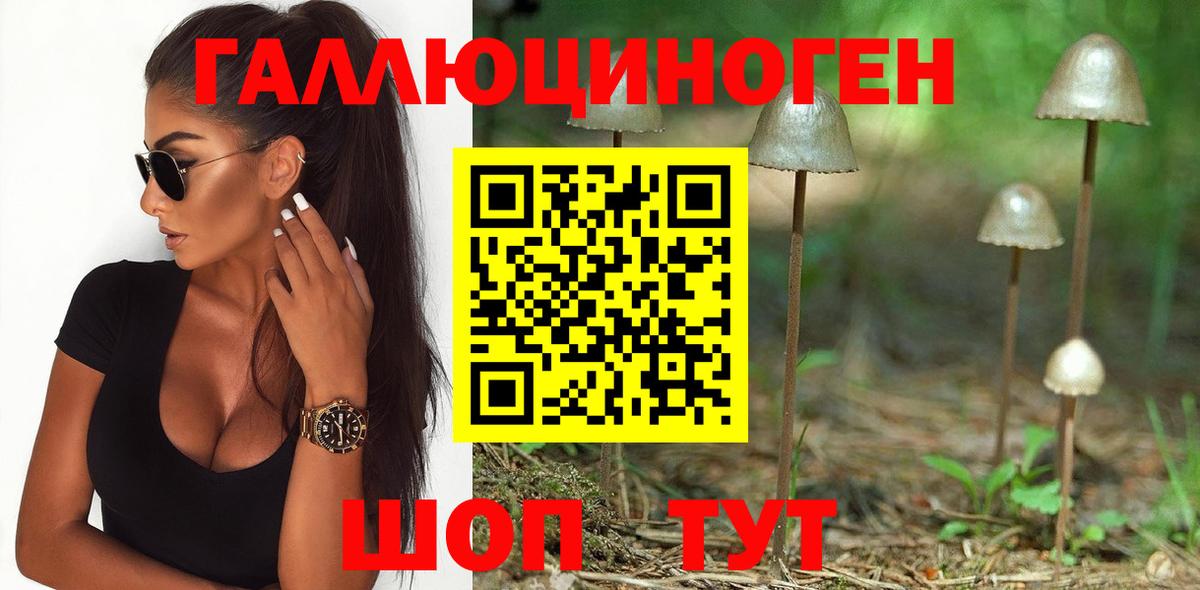 купить закладку  Псилоцибиновые грибы прущие грибы  Вход с VPN  Щёлково 