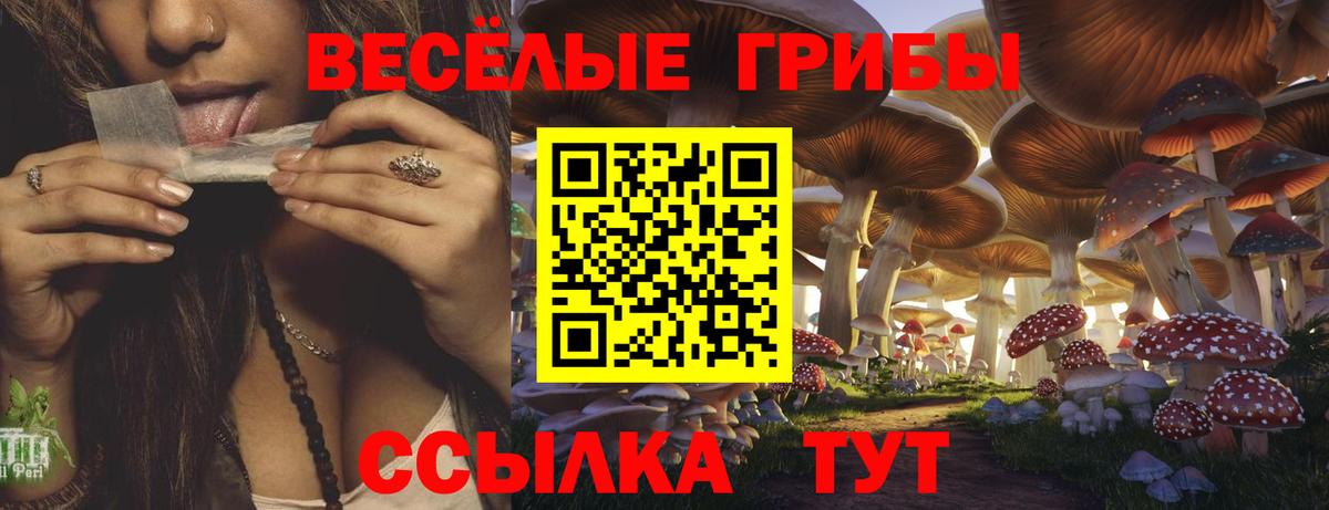 Псилоцибиновые грибы Cubensis Щёлково
